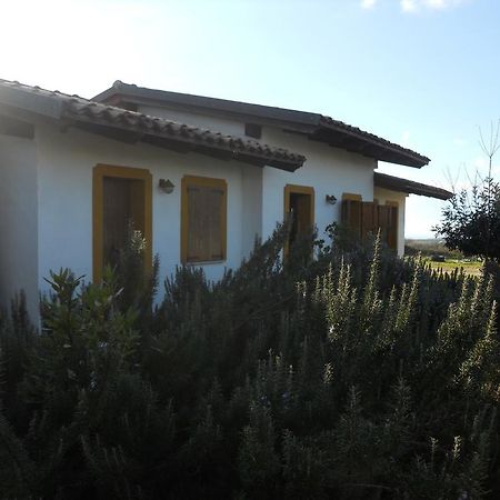 فيلا Sagamaفي Agriturismo Su Nuratolu المظهر الخارجي الصورة