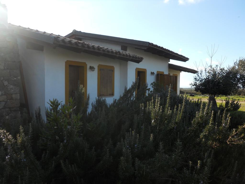 فيلا Sagamaفي Agriturismo Su Nuratolu المظهر الخارجي الصورة