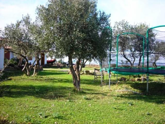 فيلا Sagamaفي Agriturismo Su Nuratolu المظهر الخارجي الصورة