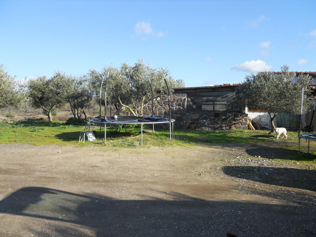 فيلا Sagamaفي Agriturismo Su Nuratolu المظهر الخارجي الصورة