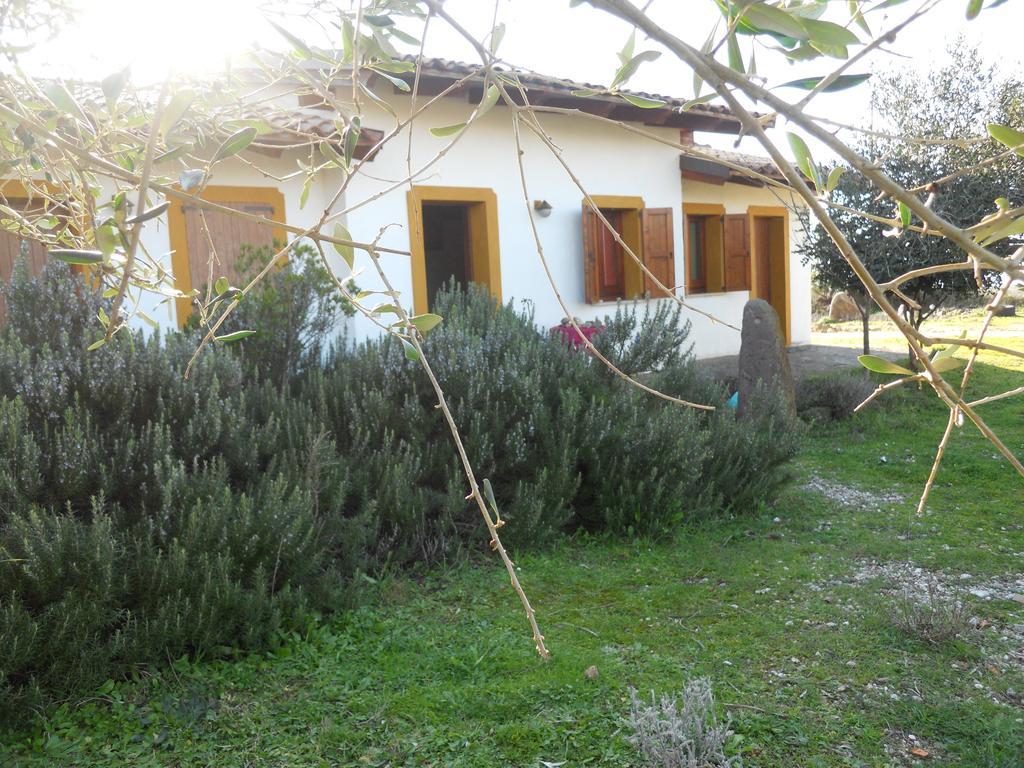 فيلا Sagamaفي Agriturismo Su Nuratolu المظهر الخارجي الصورة